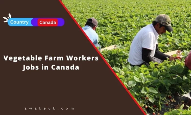 Vegetable Farm Workers Jobs in Canada