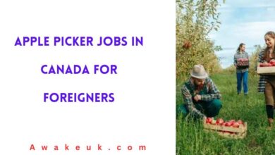 Apple Picker Jobs in Canada for Foreigners