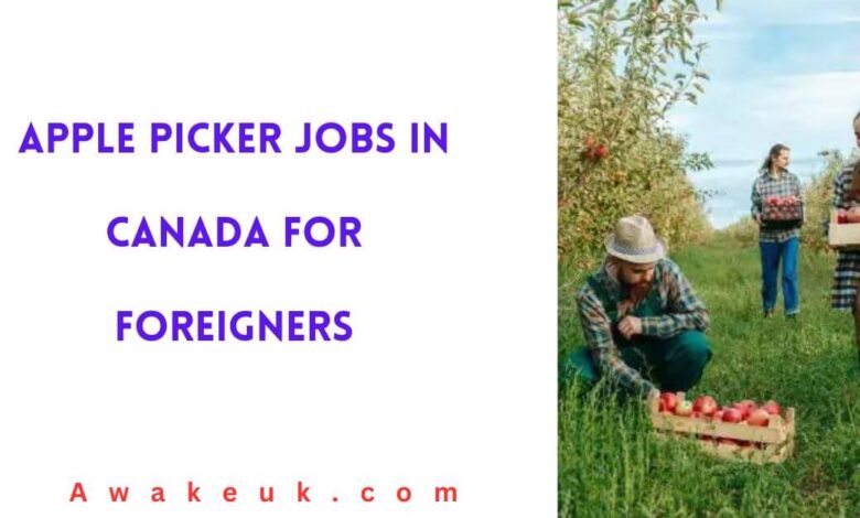 Apple Picker Jobs in Canada for Foreigners