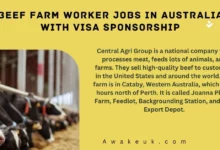 Beef Farm Worker Jobs in Australia with Visa Sponsorship