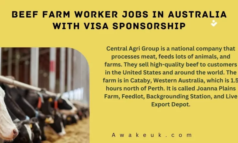 Beef Farm Worker Jobs in Australia with Visa Sponsorship