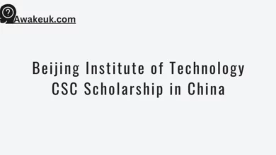 Beijing Institute of Technology CSC Scholarship in China