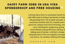 Dairy Farm Jobs in USA Visa Sponsorship and Free Housing