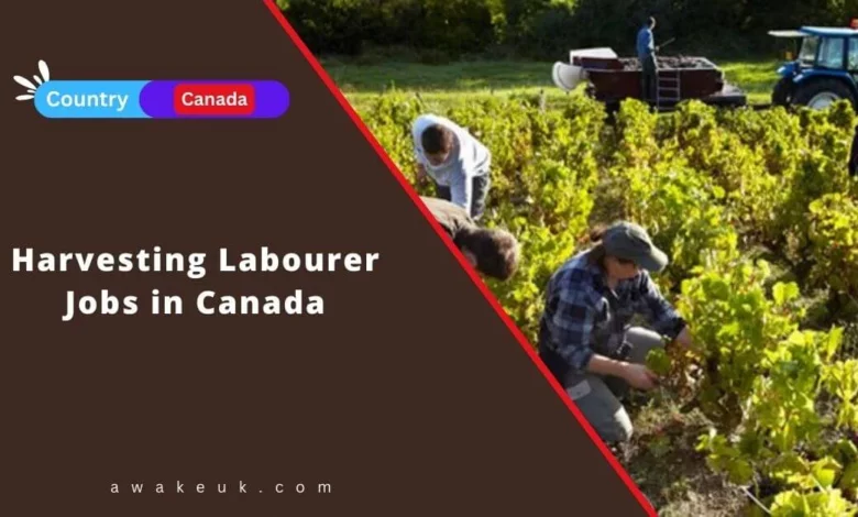 Harvesting Labourer Jobs in Canada