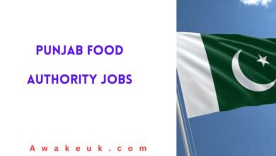 Punjab Food Authority Jobs