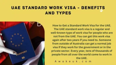 UAE Standard Work Visa - Benefits and Types