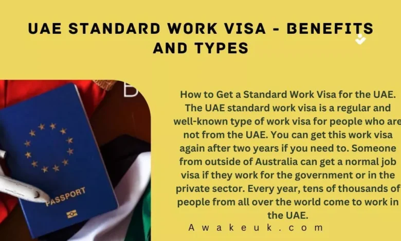 UAE Standard Work Visa - Benefits and Types