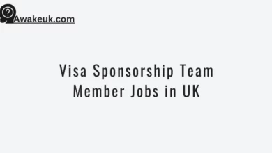 Visa Sponsorship Team Member Jobs in UK