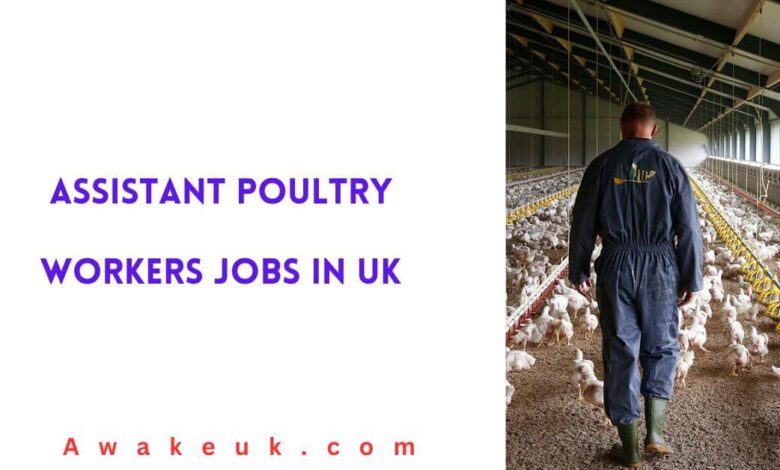 Assistant Poultry Workers Jobs in UK