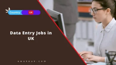 Data Entry Jobs in UK