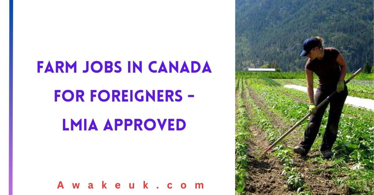 Farm Jobs in Canada for Foreigners 2024 LMIA Approved