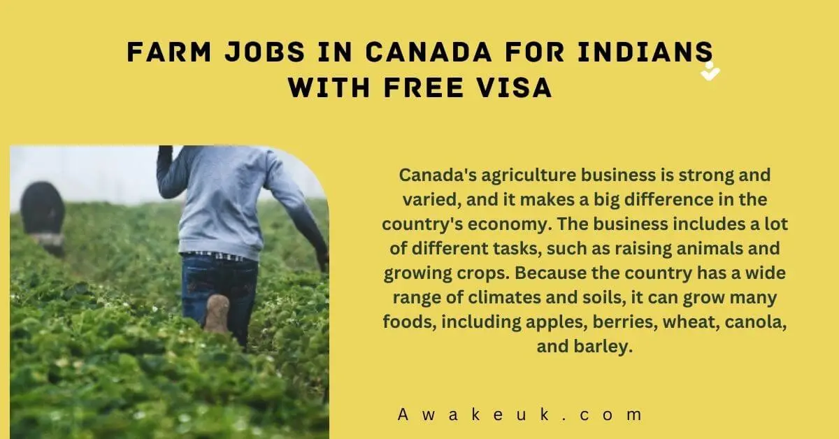 Farm Jobs In Canada For Indians With Free Visa 2024   Farm Jobs In Canada For Indians With Free Visa.webp