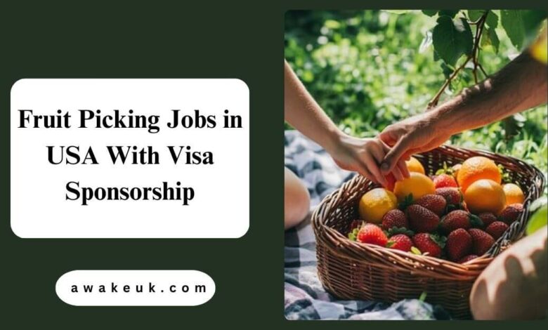 Fruit Picking Jobs in USA With Visa Sponsorship