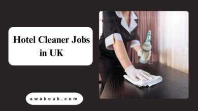 Hotel Cleaner Jobs in UK