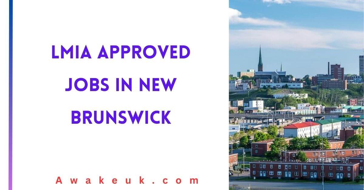 Indemand Jobs in New Brunswick in 2023 CanadianVisa