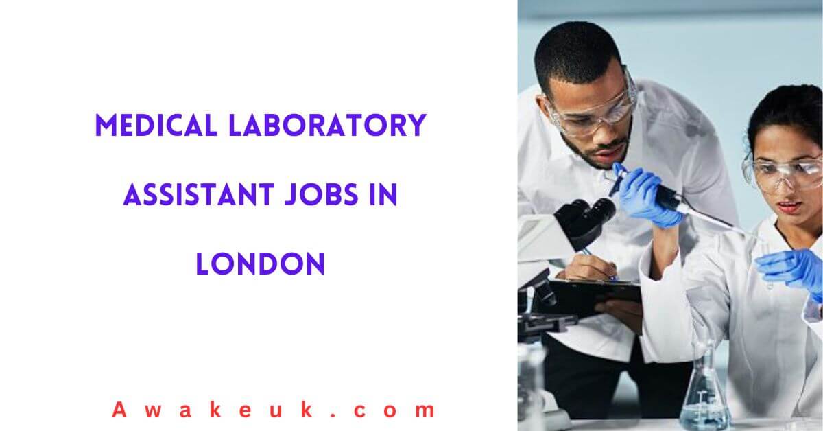 research assistant jobs in london