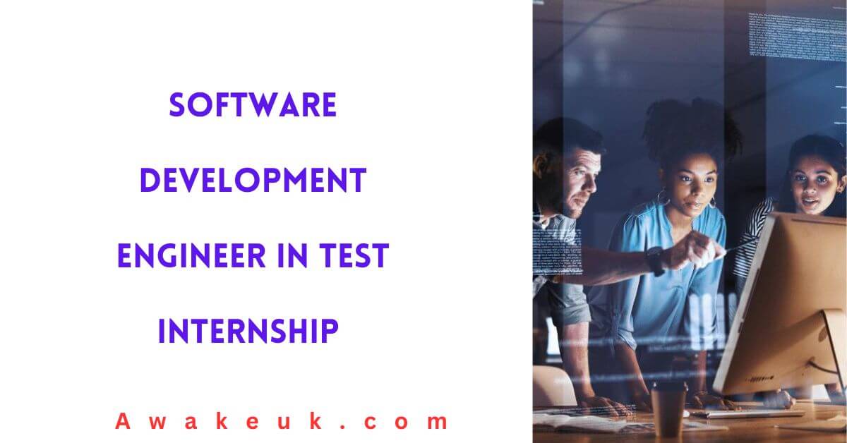 Software Development Engineer in Test Internship 2024