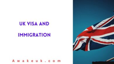 UK Visa and Immigration