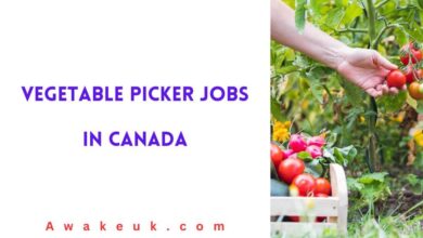 Vegetable Picker Jobs in Canada