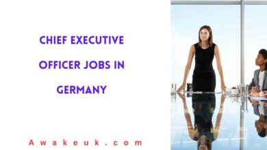 Chief Executive Officer Jobs in Germany