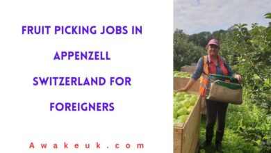 Fruit Picking Jobs in Appenzell Switzerland for Foreigners