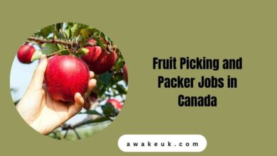 Fruit Picking and Packer Jobs in Canada