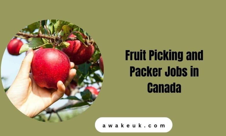 Fruit Picking and Packer Jobs in Canada