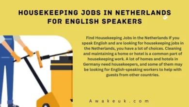 Housekeeping Jobs in Netherlands