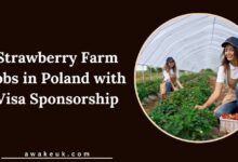 Strawberry Farm Jobs in Poland with Visa Sponsorship