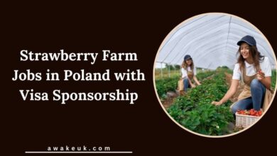 Strawberry Farm Jobs in Poland with Visa Sponsorship