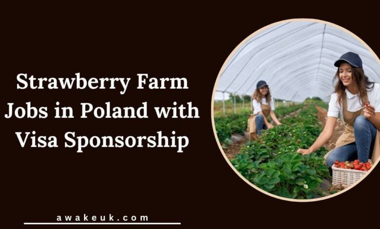 Strawberry Farm Jobs in Poland with Visa Sponsorship