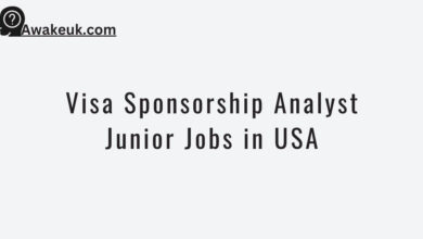 Visa Sponsorship Analyst Junior Jobs in USA