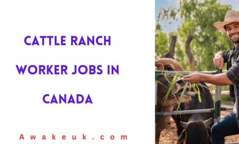 Cattle Ranch Worker Jobs in Canada