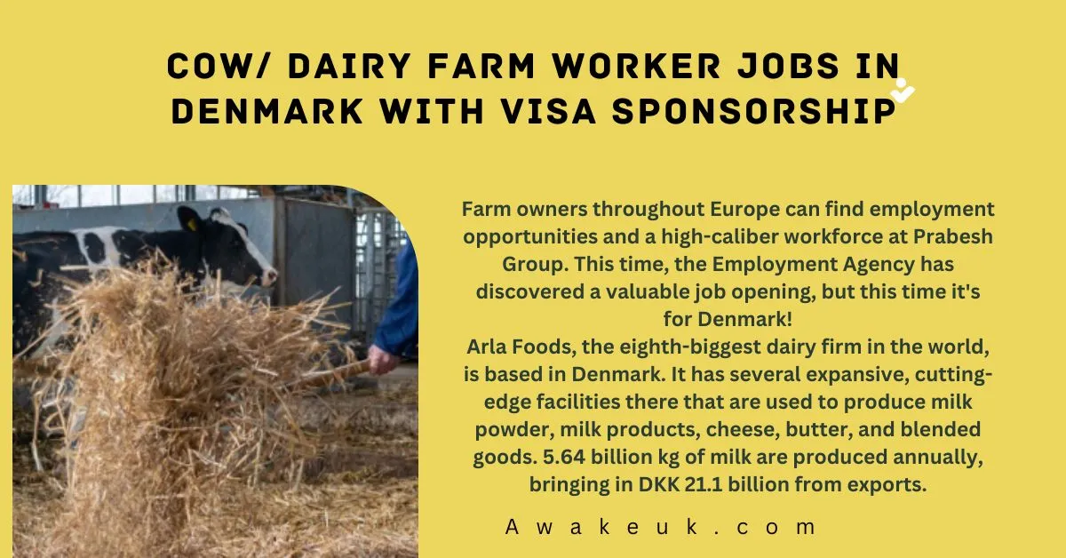 Cow Dairy Farm Worker Jobs In Denmark With Visa Sponsorship