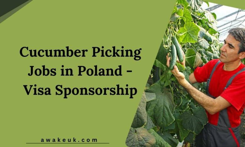 Cucumber Picking Jobs in Poland - Visa Sponsorship