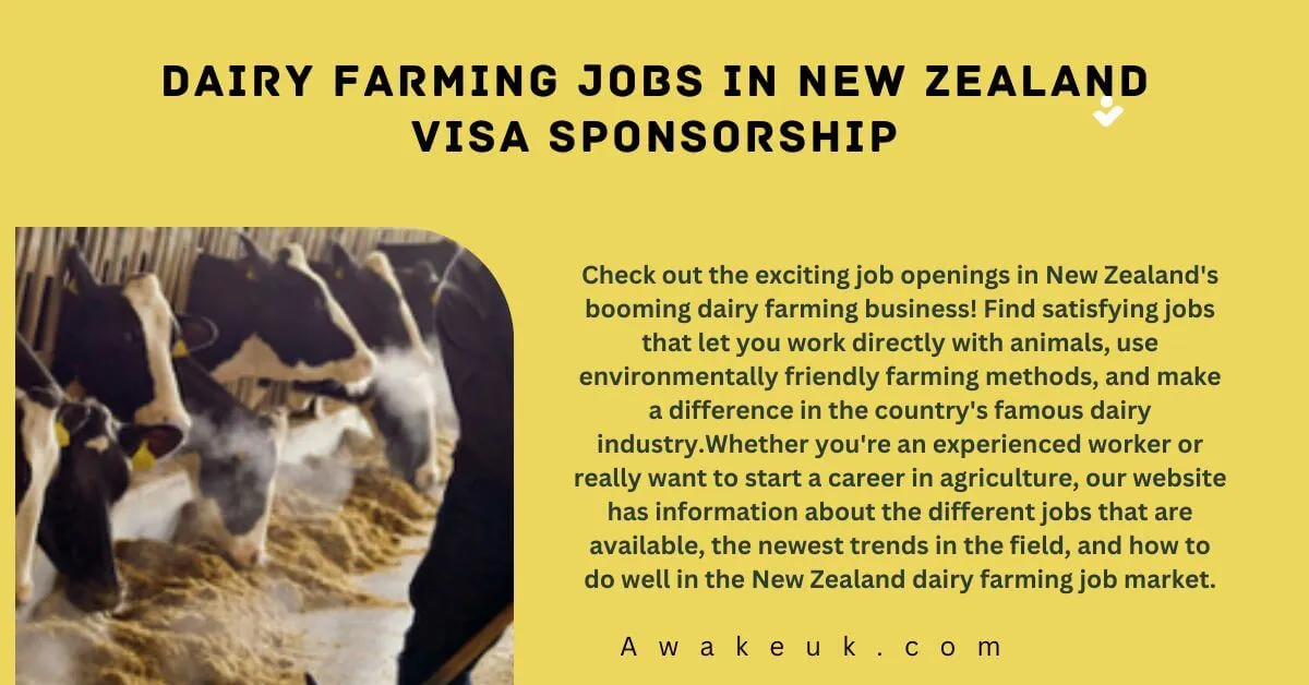 Dairy Farming Jobs in New Zealand Visa Sponsorship