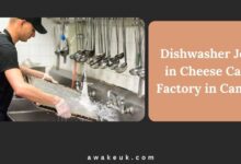 Dishwasher Jobs in Cheese Cake Factory in Canada