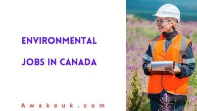 Environmental Jobs in Canada