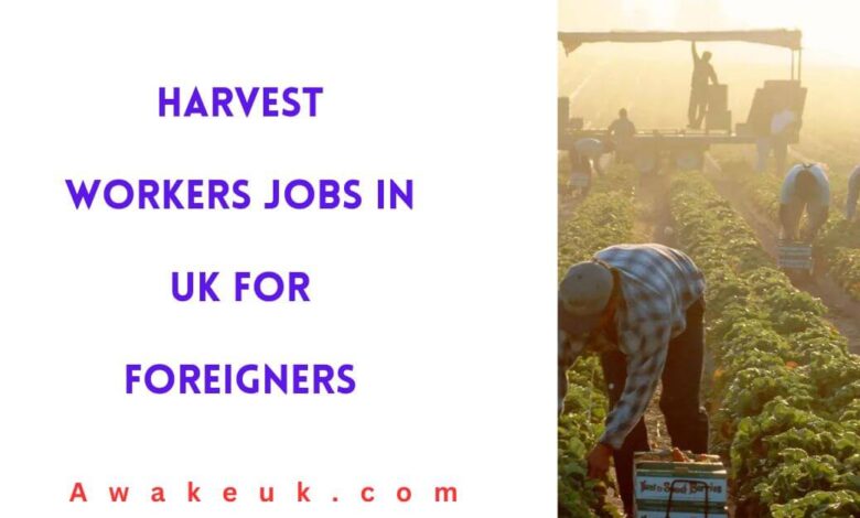 Harvest Workers Jobs in UK For Foreigners