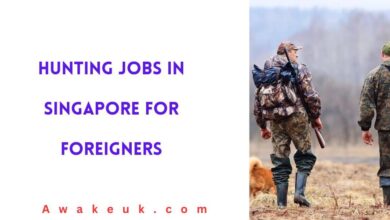 Hunting Jobs in Singapore for Foreigners