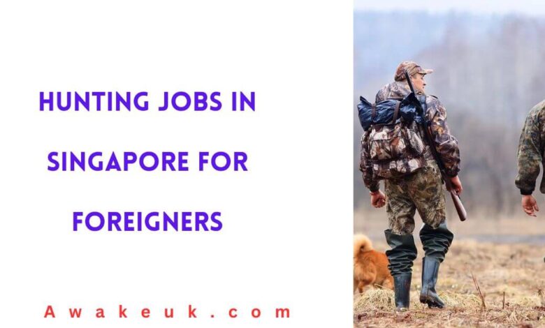 Hunting Jobs in Singapore for Foreigners