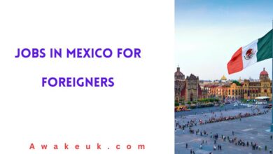 Jobs in Mexico for Foreigners