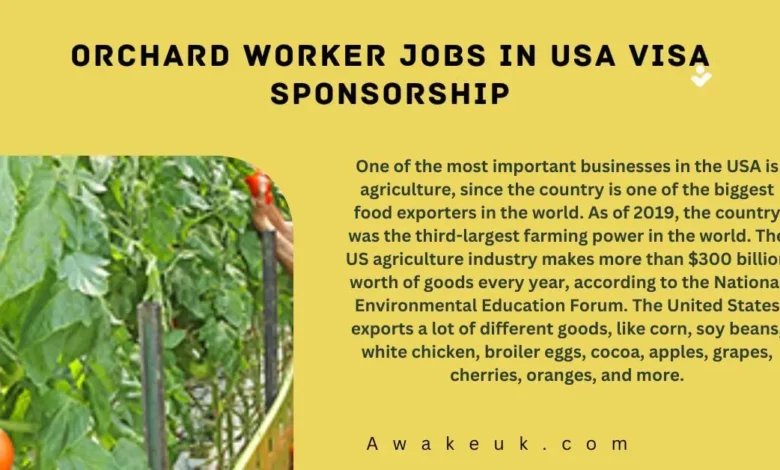 Orchard Worker Jobs in USA