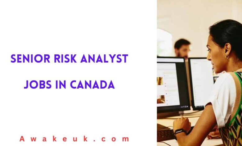 Senior Risk Analyst Jobs in Canada