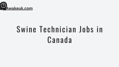 Swine Technician Jobs in Canada