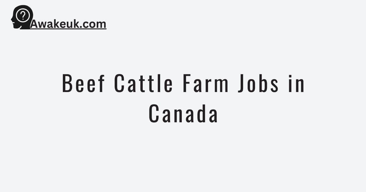 Beef Cattle Farm Jobs in Canada 2024 Apply Now