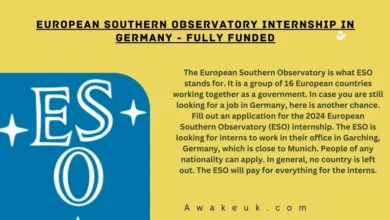 European Southern Observatory Internship