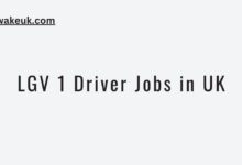 LGV 1 Driver Jobs in UK