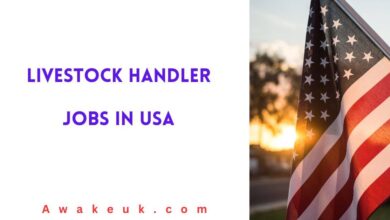 Livestock Handler Jobs in USA