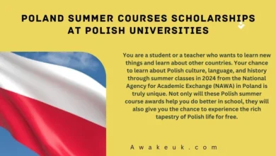 Poland Summer Courses Scholarships at Polish